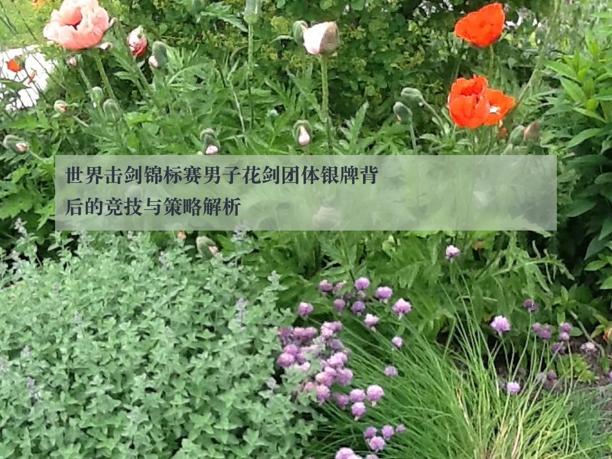 世界击剑锦标赛男子花剑团体银牌背后的竞技与策略解析